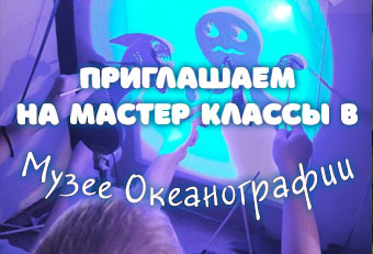 театр кукол, световое шоу на праздник
